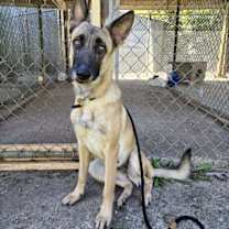 Thumbnail photo of Lucy #1