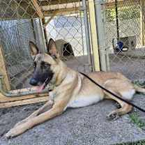 Thumbnail photo of Lucy #2