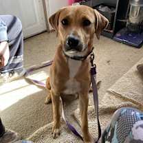 Thumbnail photo of Lupulo #2