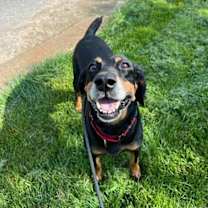 Thumbnail photo of Willie Nelson #1