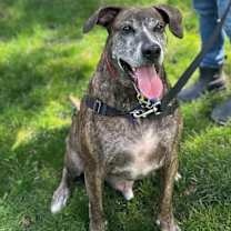 Thumbnail photo of Buddha #1