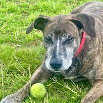 Thumbnail photo of Buddha #3