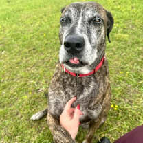 Thumbnail photo of Buddha #4