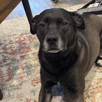 Thumbnail photo of Vera #3