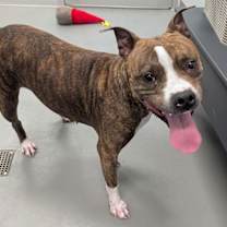 Thumbnail photo of Peggy #2