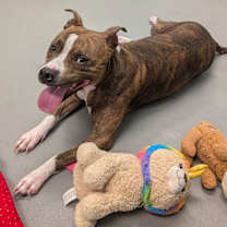 Thumbnail photo of Peggy #3