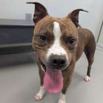 Thumbnail photo of Peggy #4