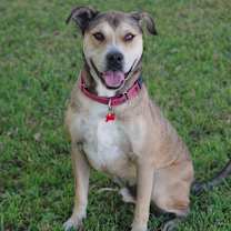 Thumbnail photo of Fernando #3