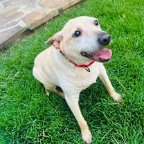 Thumbnail photo of Masha #2