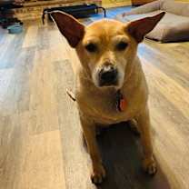 Thumbnail photo of Masha #3