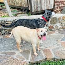 Thumbnail photo of Masha #4