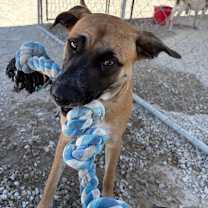 Thumbnail photo of Drake #3