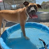 Thumbnail photo of Drake #4