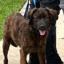 Thumbnail photo of Luke #1