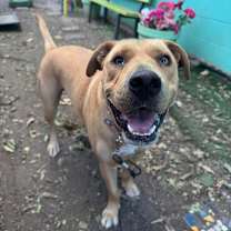 Thumbnail photo of Maisy #1