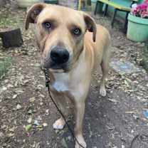 Thumbnail photo of Maisy #3