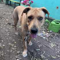 Thumbnail photo of Maisy #4