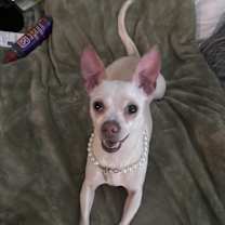 Thumbnail photo of Khloe #2