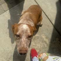 Thumbnail photo of Remi #2