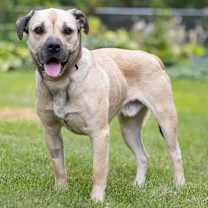 Thumbnail photo of Darnell #4