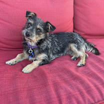 Thumbnail photo of Carter #3