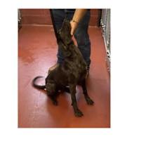 Thumbnail photo of Winnie #2