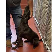 Thumbnail photo of Winnie #3