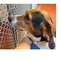 Thumbnail photo of Rosa #2