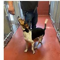 Thumbnail photo of Rosa #3