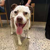 Thumbnail photo of Freckles #4