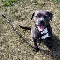 Thumbnail photo of Nancy #1