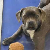 Thumbnail photo of Nancy #2