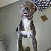 Thumbnail photo of Nancy #3