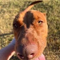 Thumbnail photo of Russell Shelley #3