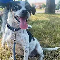 Thumbnail photo of Bea #1