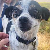 Thumbnail photo of Bea #2