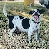 Thumbnail photo of Bea #3