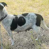 Thumbnail photo of Bea #4