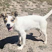 Thumbnail photo of Gigi #3