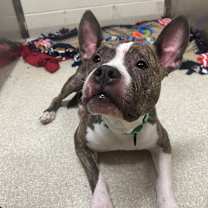 Thumbnail photo of Cash #2