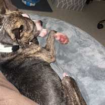 Thumbnail photo of Cash #4