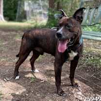 Thumbnail photo of Captain #1