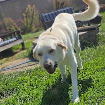 Thumbnail photo of Bach #2