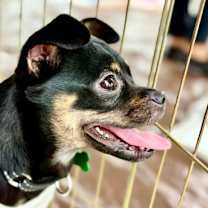 Thumbnail photo of Nina #3