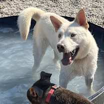 Thumbnail photo of Mayson #2