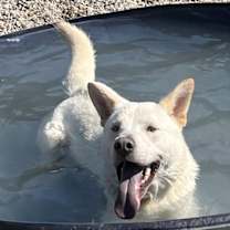 Thumbnail photo of Mayson #3