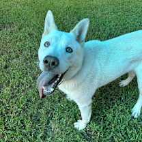 Thumbnail photo of Mayson #4