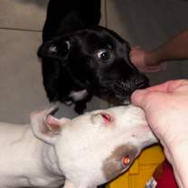 Thumbnail photo of Stormy #3