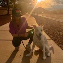 adopt-pet