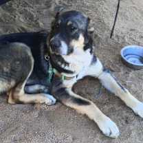 Thumbnail photo of Nathan #1